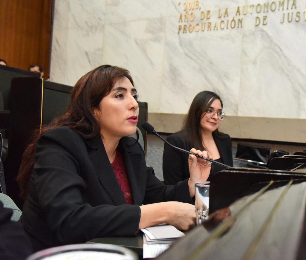 Pide la diputada Julia Espinosa se cree un banco de datos e información sobre casos de violencia hacia la mujer.
