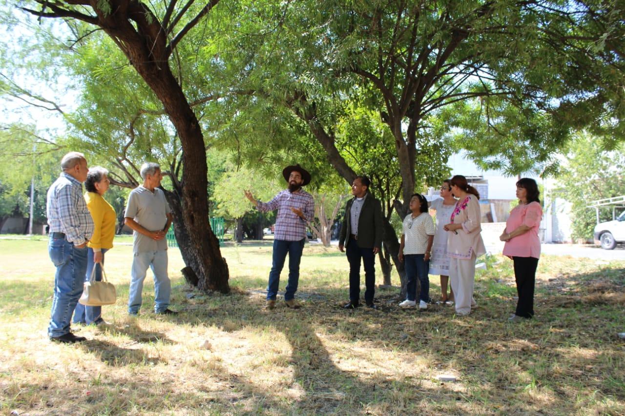 OFRECE LUIS ARMANDO TORRES TALLER DE CUIDADO DE ÁRBOLES 