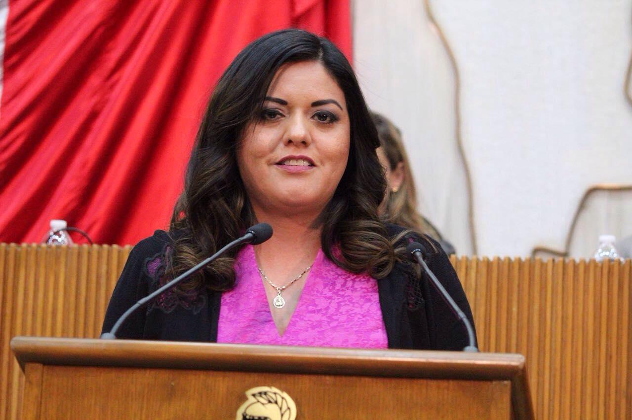 PIDE ACCIÓN NACIONAL MAYOR SUPERVISIÓN EN ASILOS