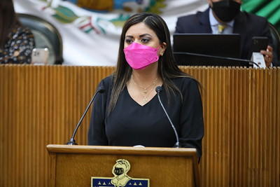 SOLICITAN DIPUTADOS DEL PAN INSPECCIONAR CENTROS CONTRA ADICCIONES 