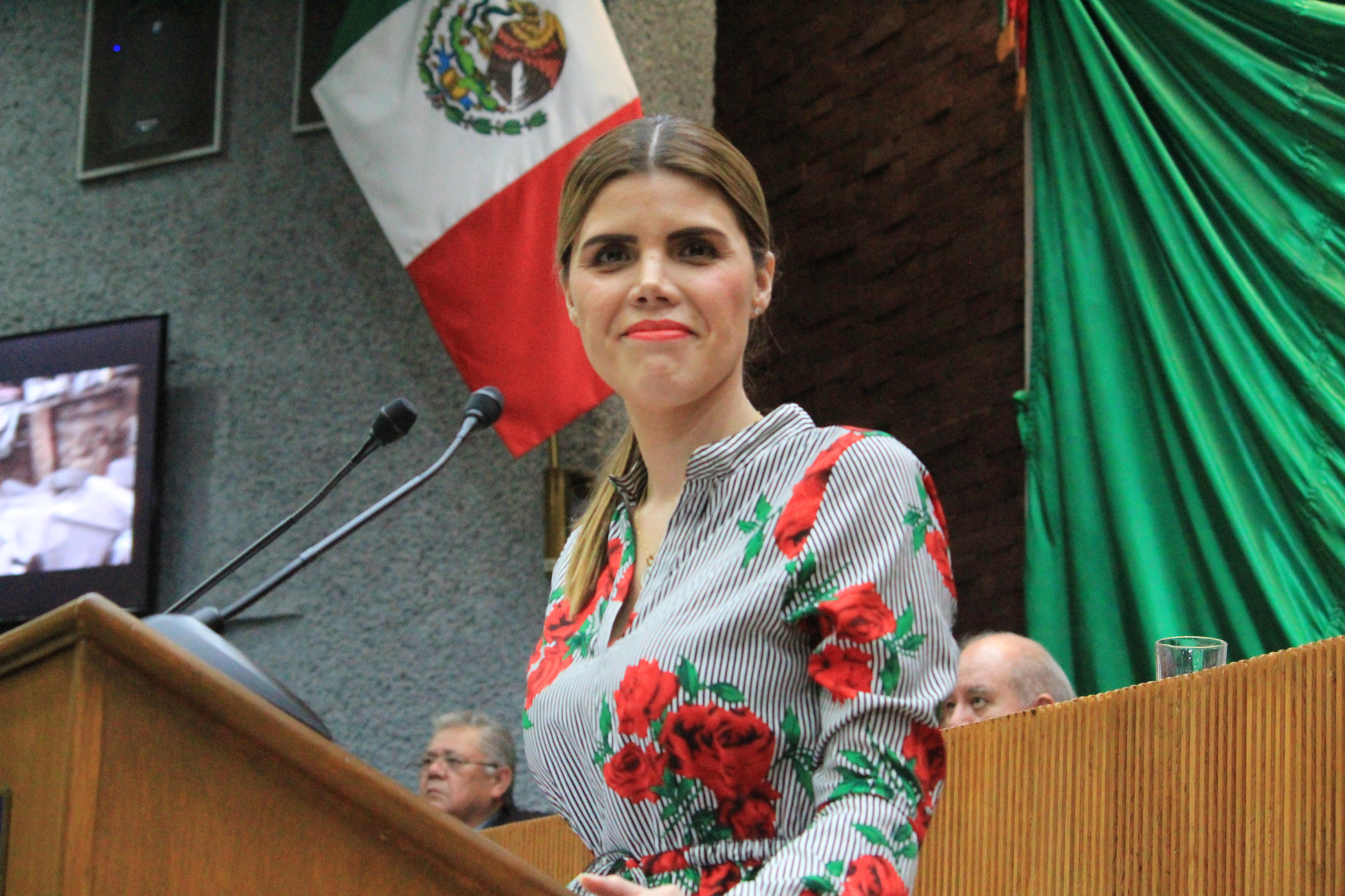 SOLICITA CLAUDIA CABALLERO VERIFICACIÓN DE 