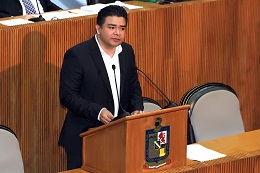 Plantea Acción Nacional regulación de blindaje de colonias a través de Ley