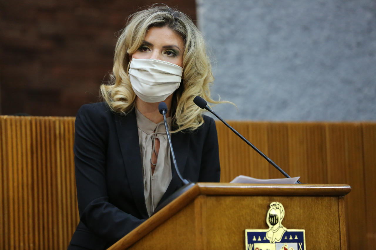 PIDE PAN REVISIÓN DE REGLAS ELECTORALES