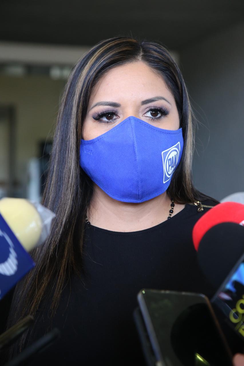 PLANTEA PAN CIUDADANIZAR CONSEJO CONTRA VIOLENCIA FAMILIAR