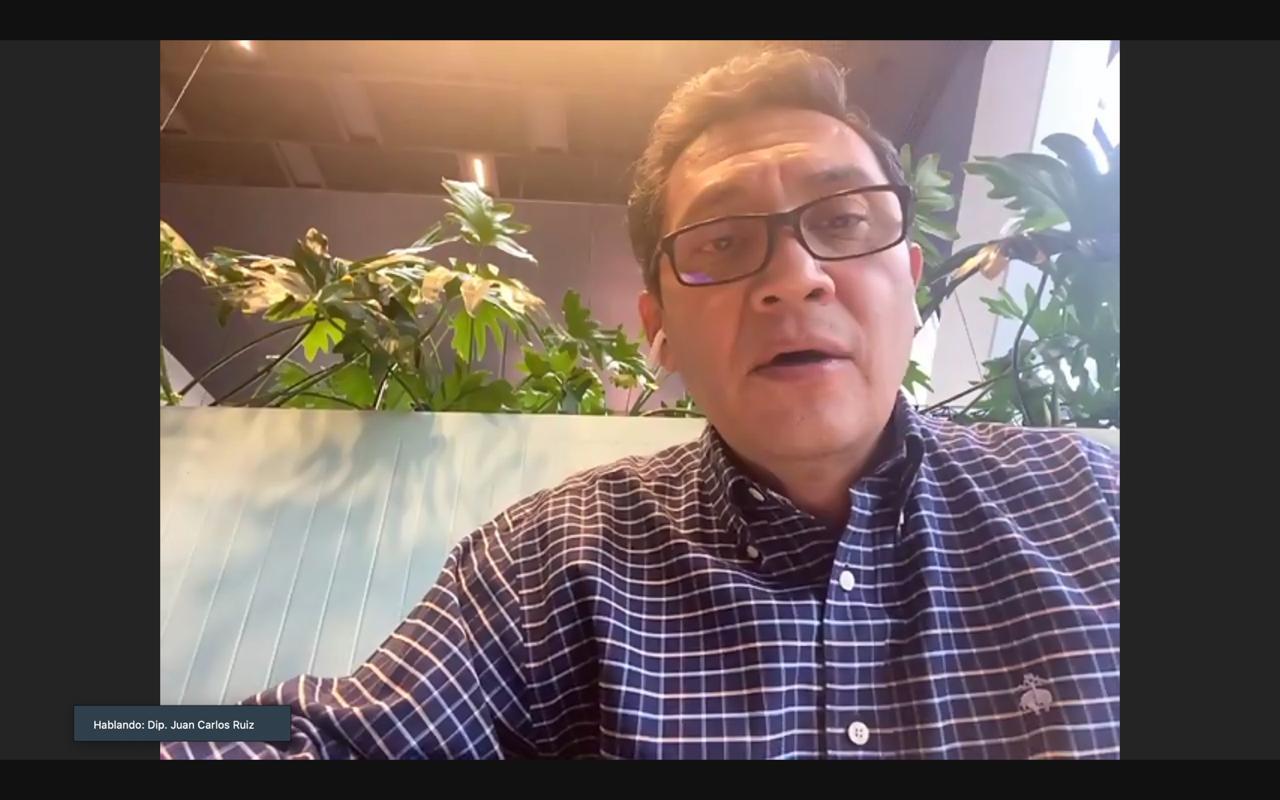 NECESARIO EVITAR SACRIFICIO DE ANIMALES DE COMPAÑÍA