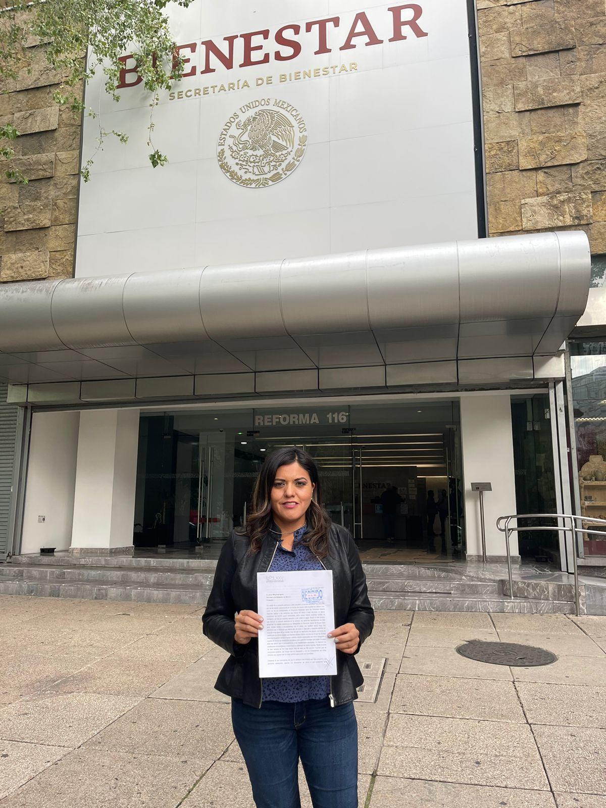 PIDE PAN REPLANTEAR MÉTODO DE ENTREGA DE APOYO 65 MÁS