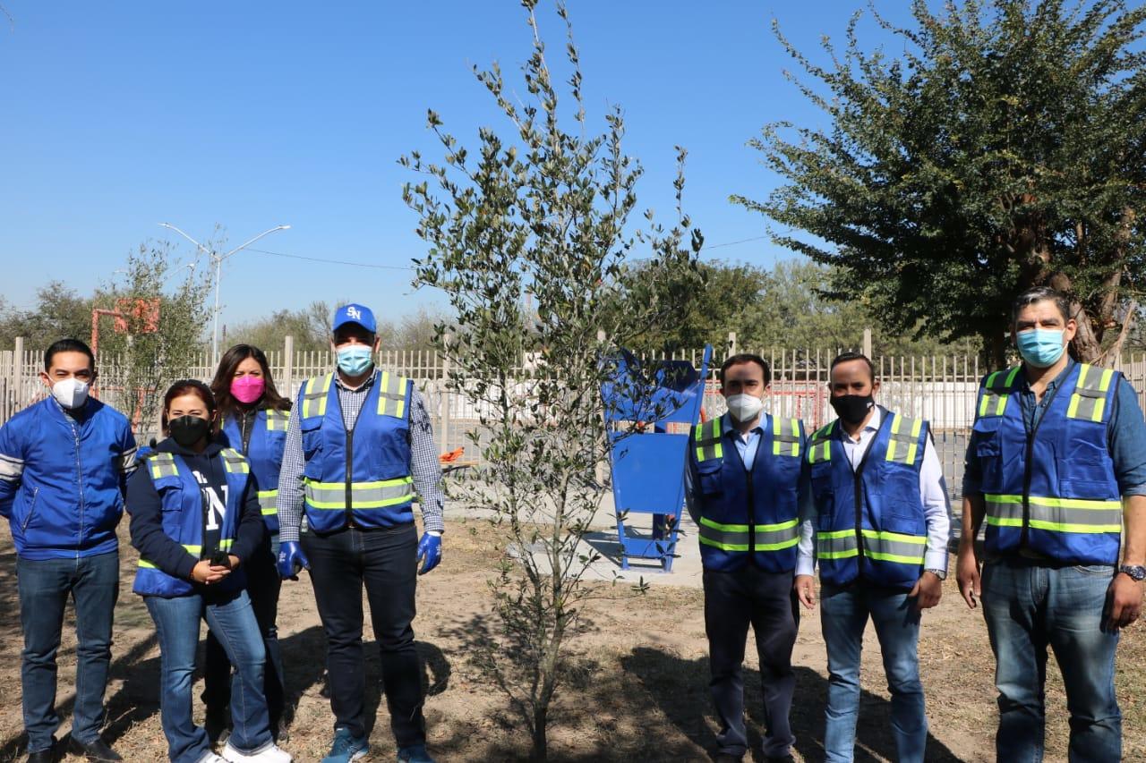 IMPULSA ACCIÓN NACIONAL REFORESTACIÓN