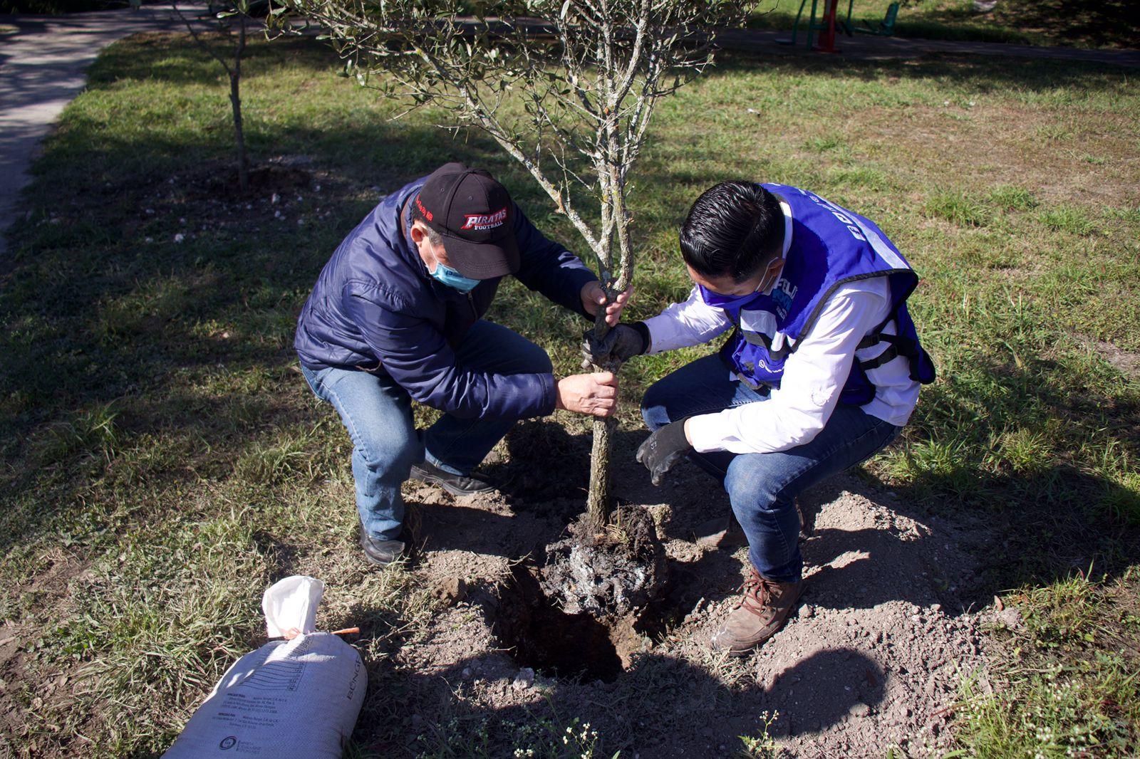 COMBATE FÉLIX ROCHA CONTAMINACIÓN CON REFORESTACIÓN