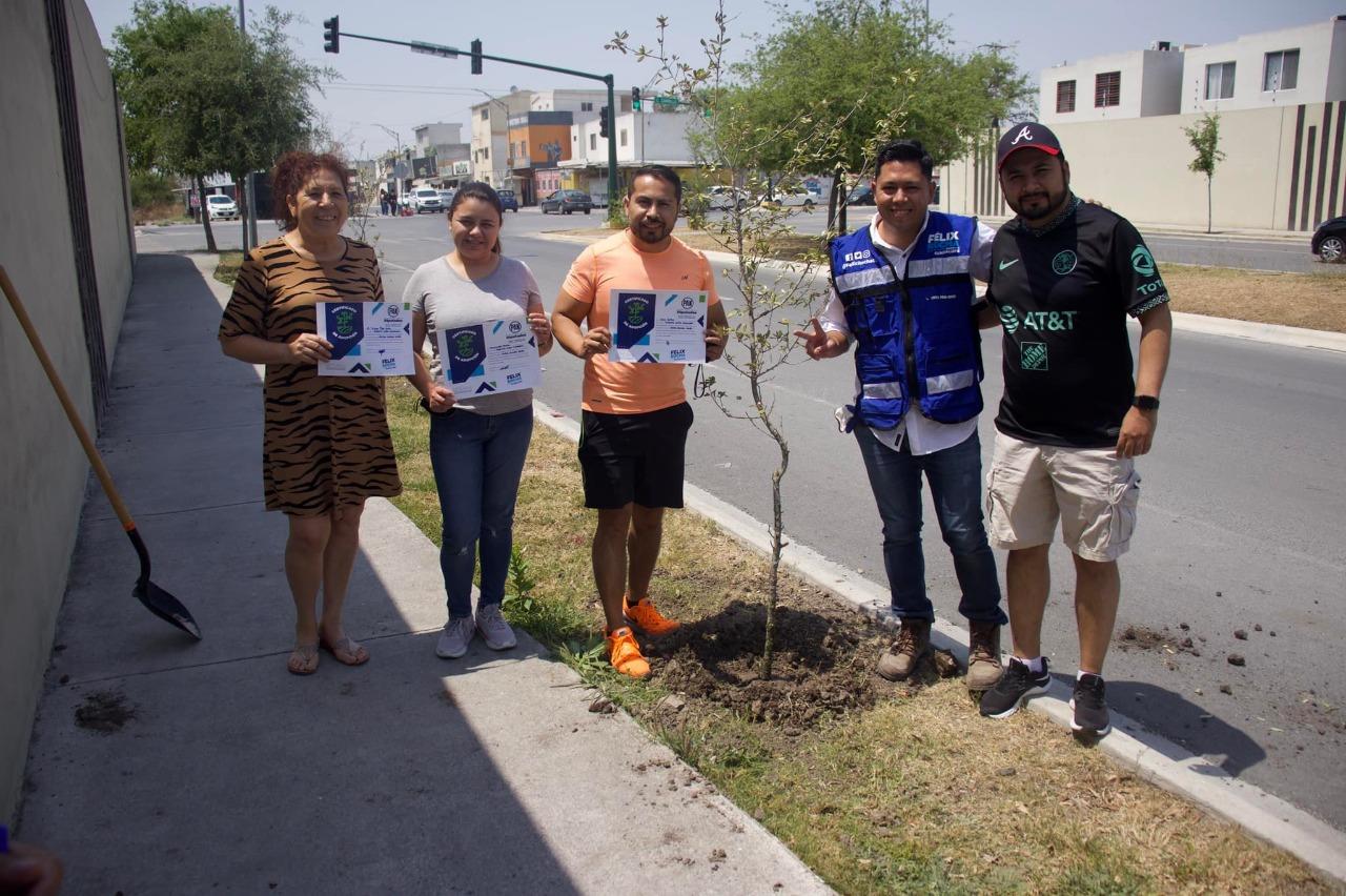 IMPULSA DIPUTADO FÉLIX ROCHA REFORESTACIÓN ANTE LAS DIVERSAS PROBLEMÁTICAS AMBIENTALES.