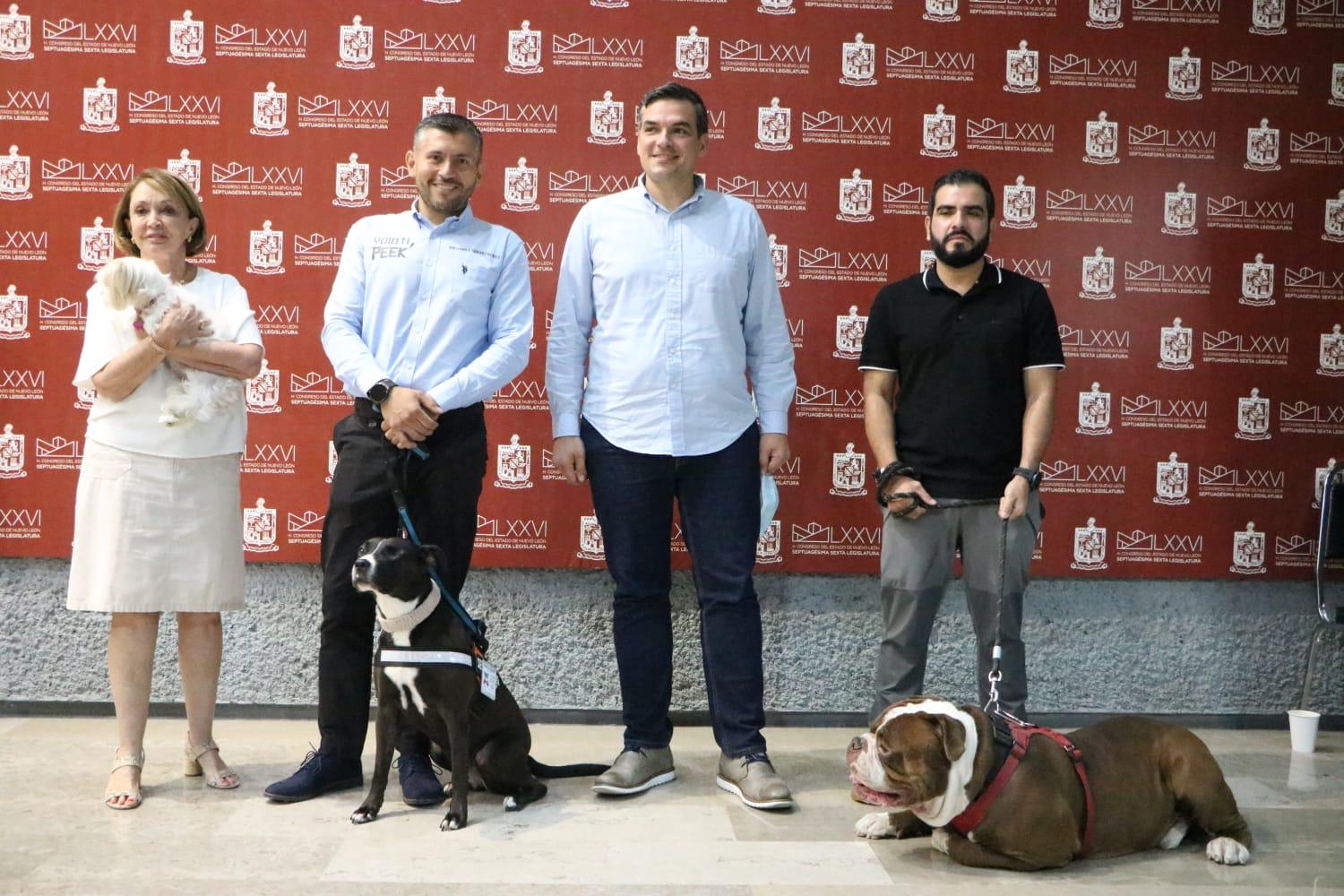 EXIGE MAURO GUERRA INSTALACIÓN DE CONSEJO CIUDADANO DE BIENESTAR ANIMAL