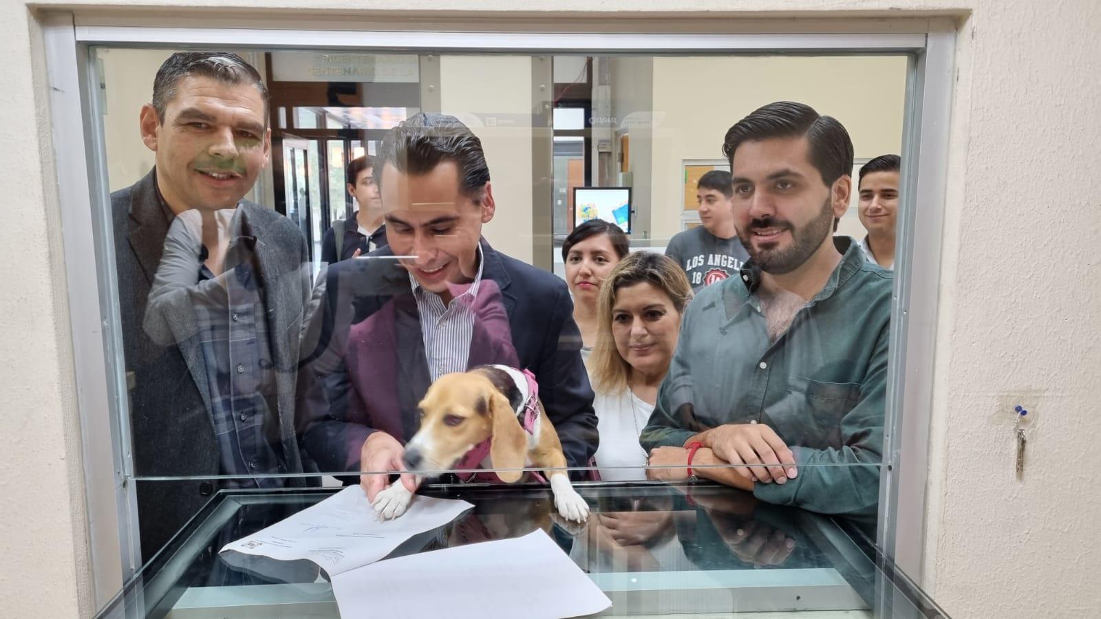 PROPONE PAN PROFESIONALIZACIÓN  EN ATENCIÓN ANIMAL