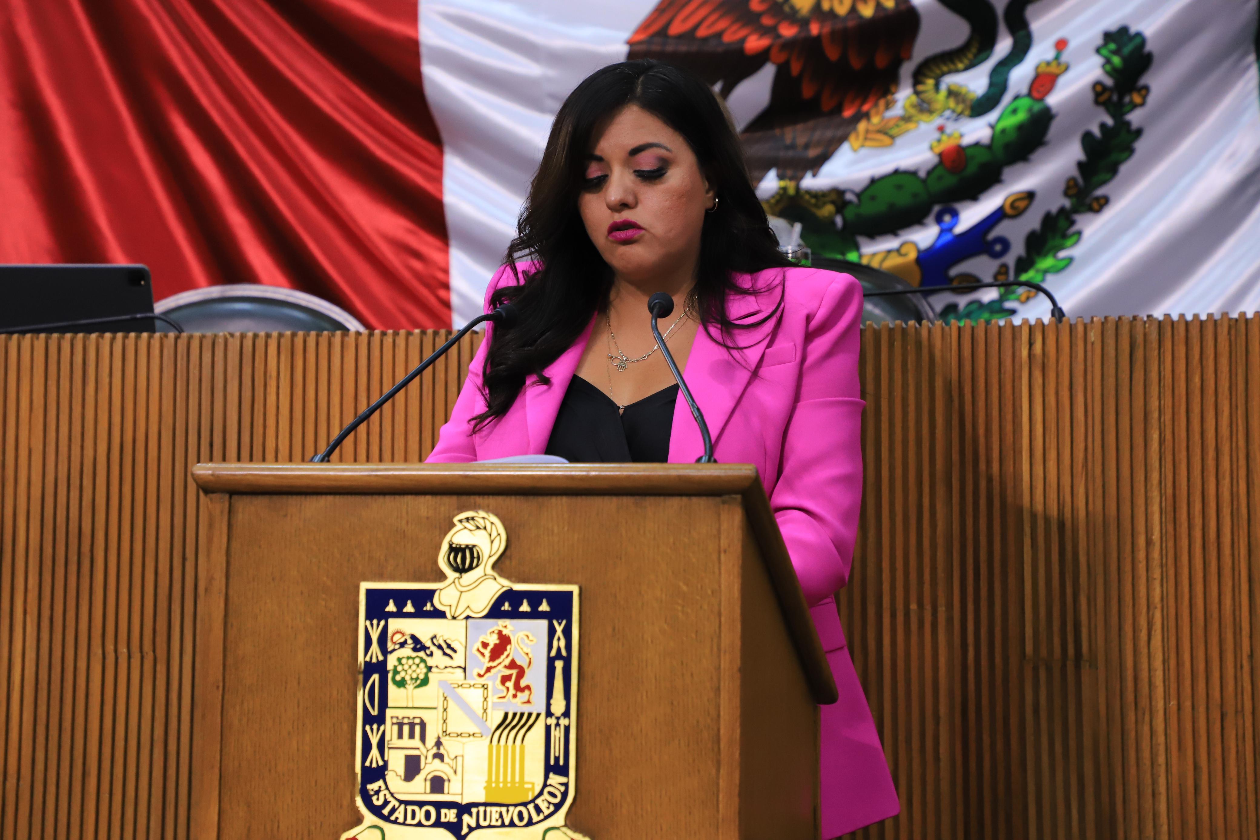 PROPONE PAN AUMENTAR SANCIONES POR MALTRATO  ANIMALES DE COMPAÑÍA