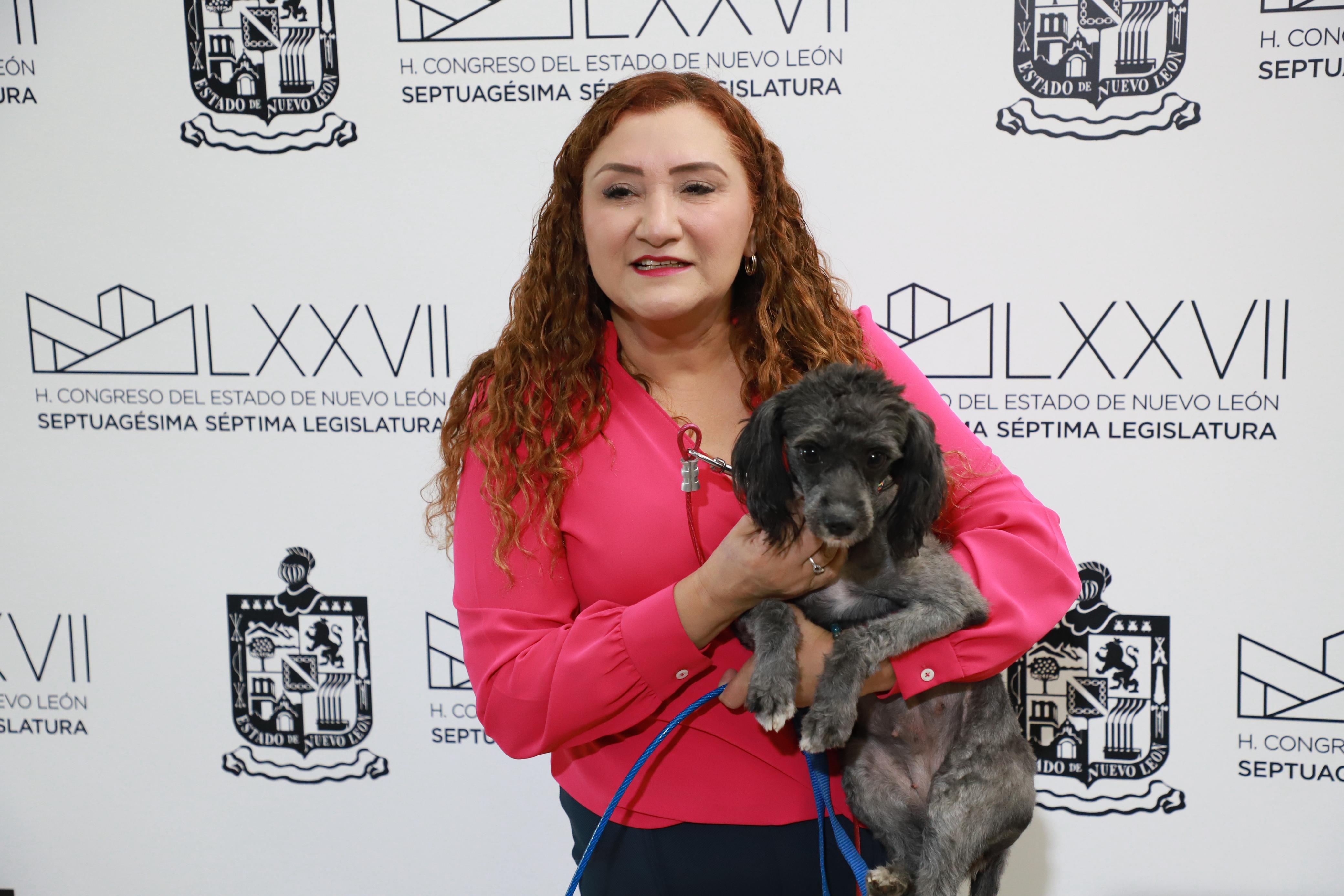 PROPONE MYRNA GRIMALDO CREACIÓN DE PORTAL DE PROTECCIÓN Y BIENESTAR ANIMAL