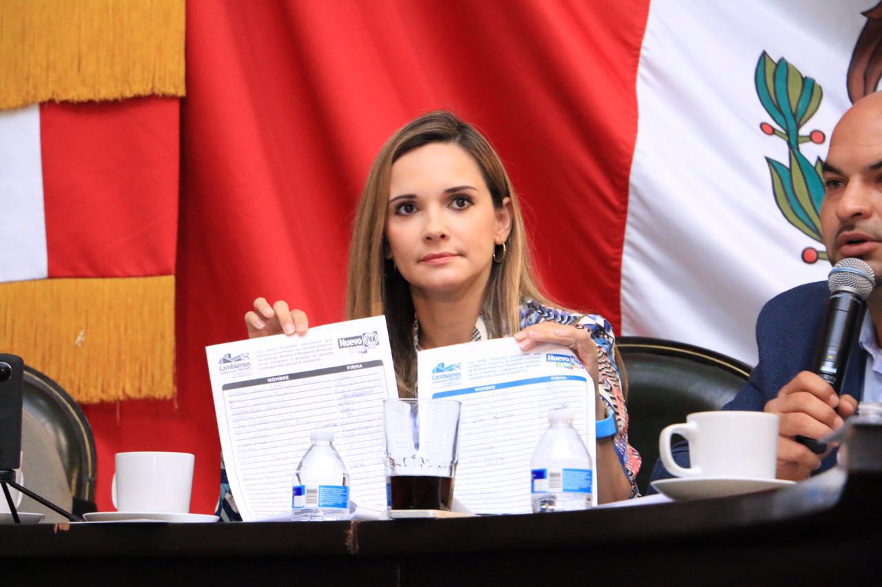 Insistiremos en dictaminación de cuentas públicas.- Arturo Salinas Garza.