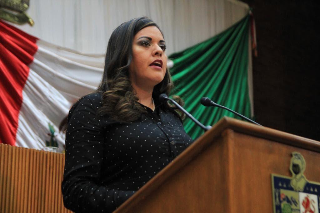 PLANTEA ITZEL CASTILLO  MAYOR SUPERVISIÓN EN ASILOS