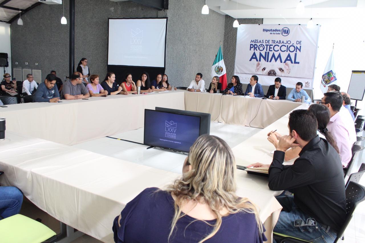 Realiza PAN mesa de trabajo sobre protección animal
