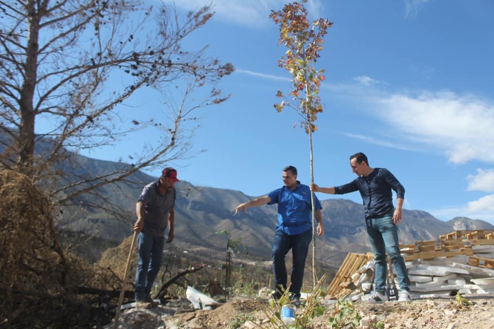 REFORESTA LALO LEAL SIERRA  DE SANTIAGO