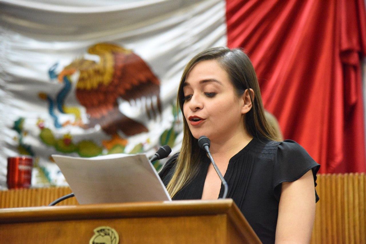 Exhortan a SCT por transparencia sobre viaducto elevado en Río Santa Catarina 