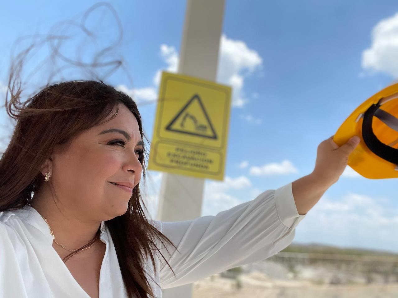 Busca Brenda Sánchez implementar reglas en la generación de electricidad con residuos sólidos urbanos