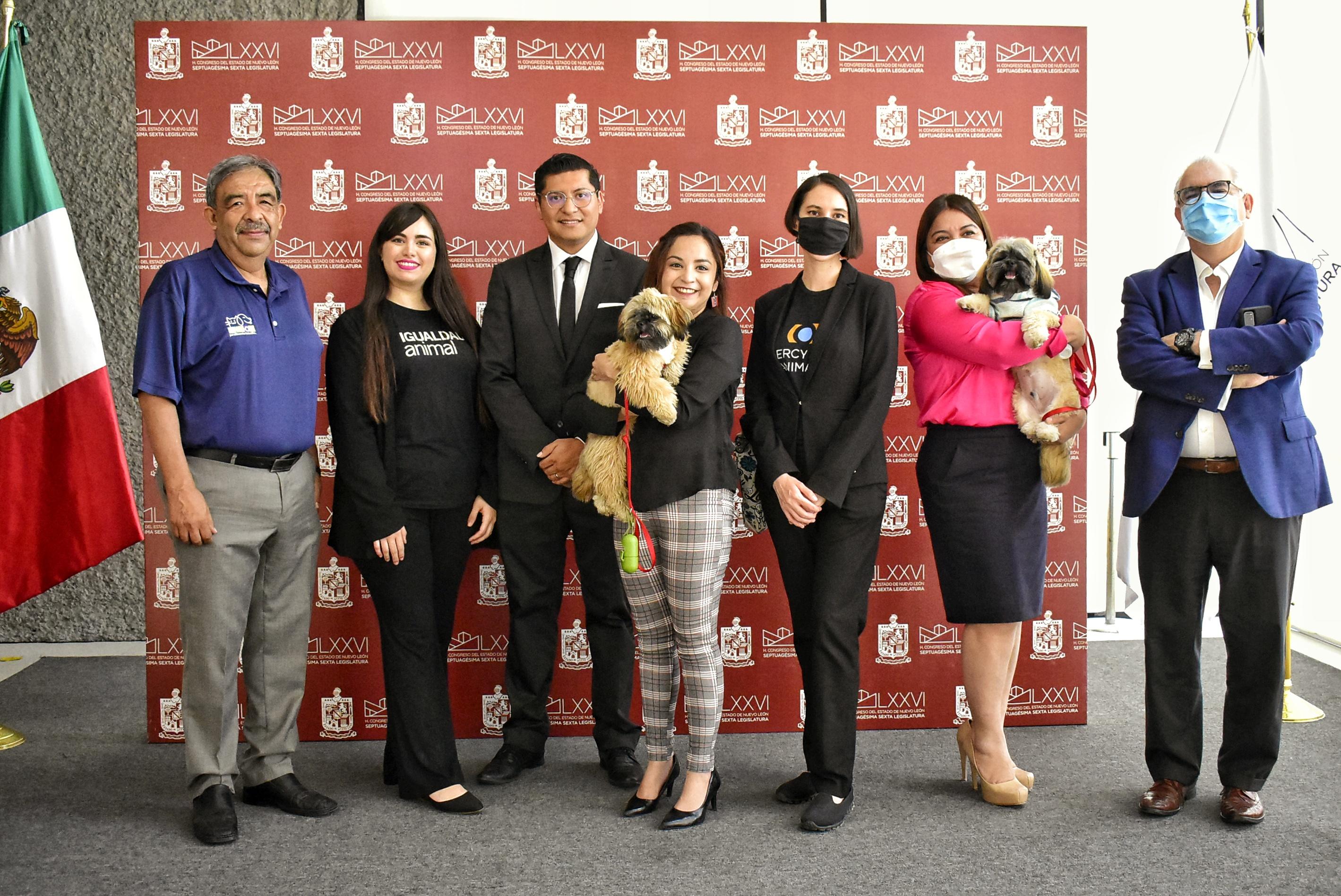 Buscan que Constitución local reconozca animales como seres sintientes