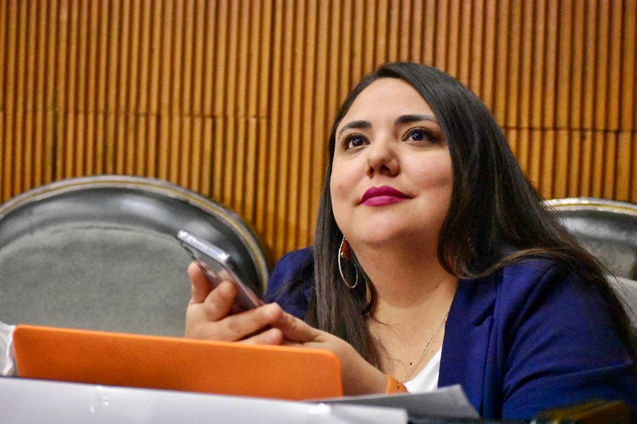 Urge que se den plazos y sanciones para quienes contaminen la atmósfera.- Daniela Puente