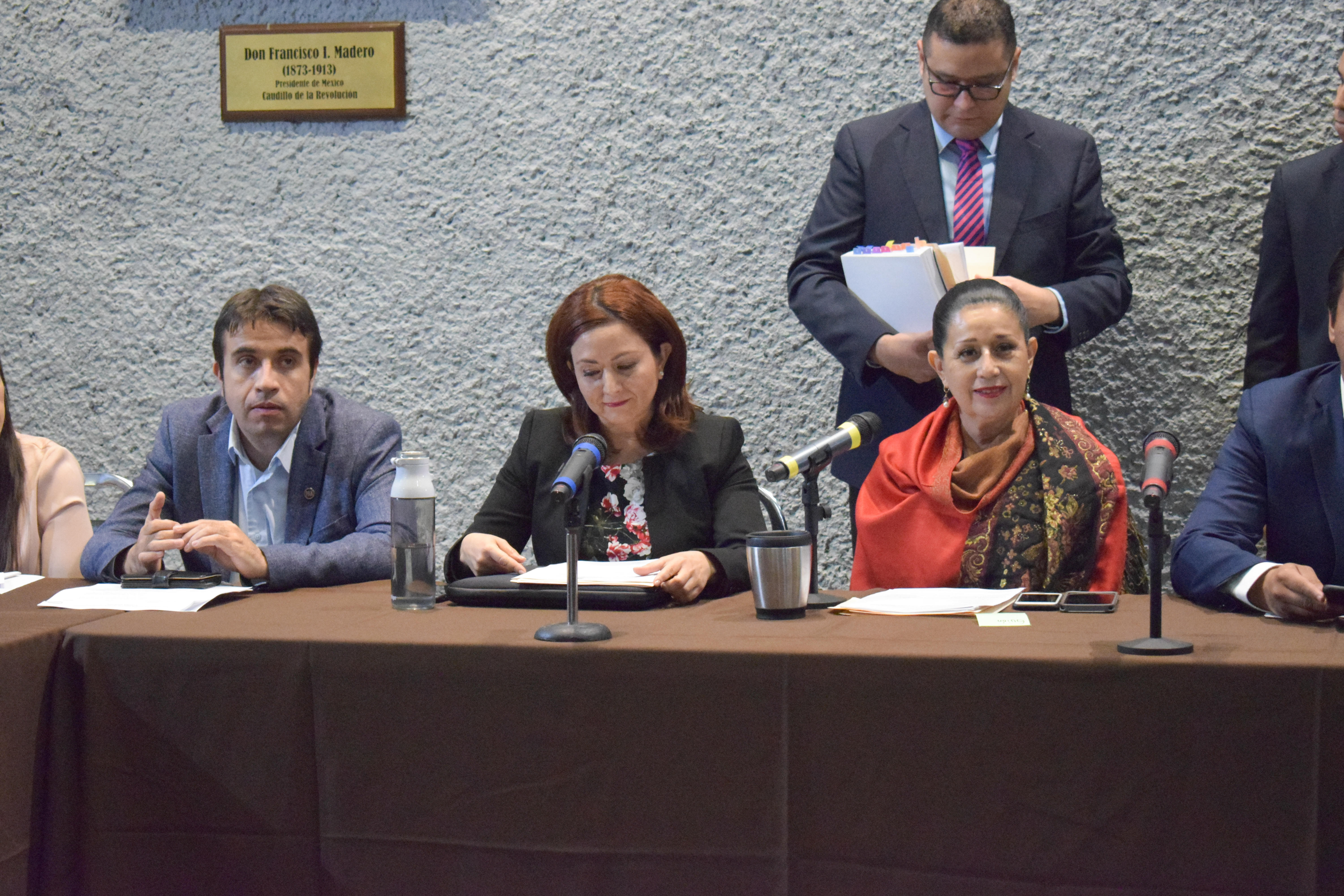 Cuestiona Mariela proyecto de luminarias para El Carmen