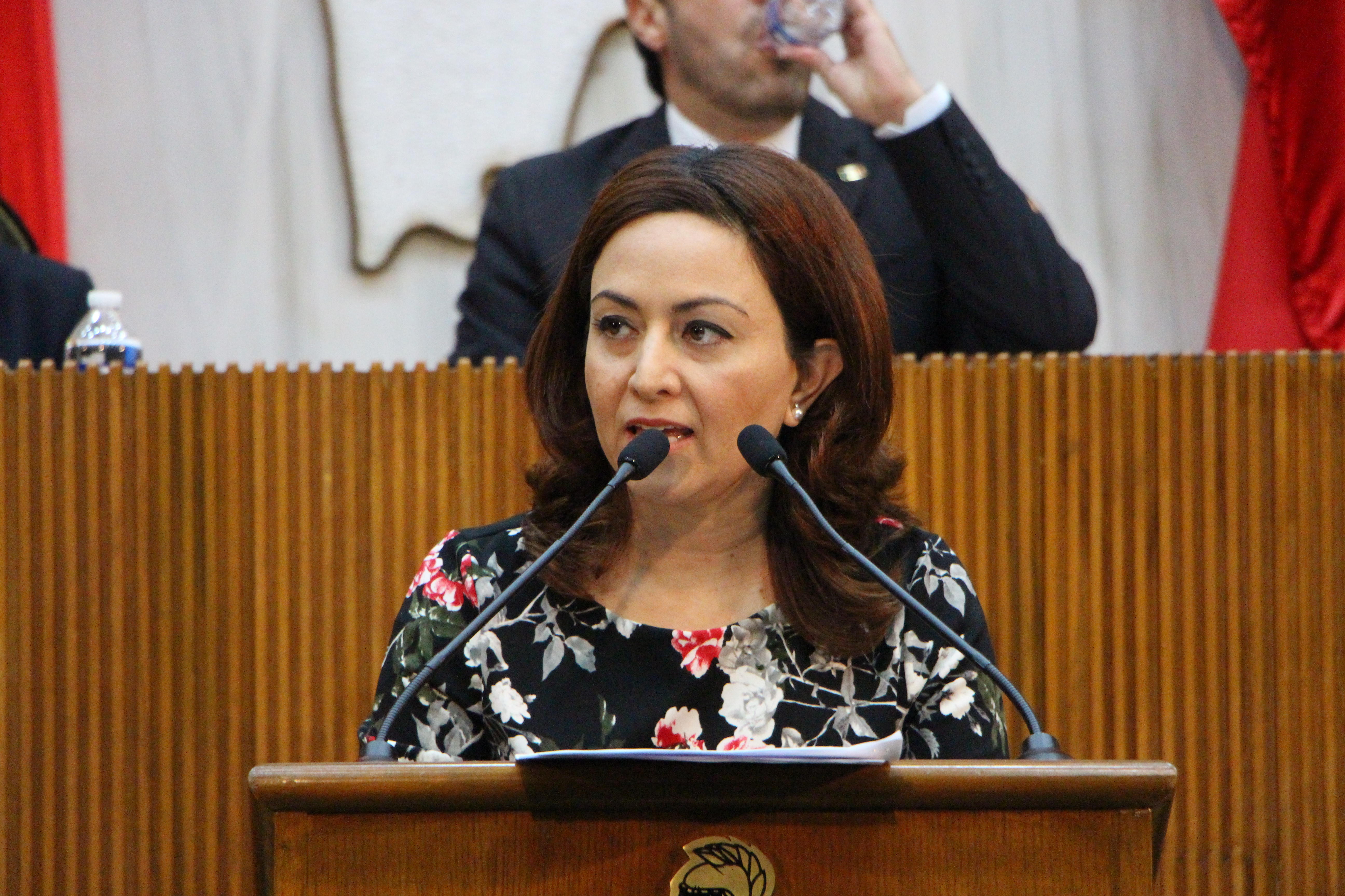 Congreso Exhorta al Gobierno Estatal a ejercer de manera urgente el Fondo de Aportaciones para Seguridad Pública (FASP) 2018, y a Municipios de la ZMM a transparentar el Fondo de Seguridad Municipal 2017-2018.