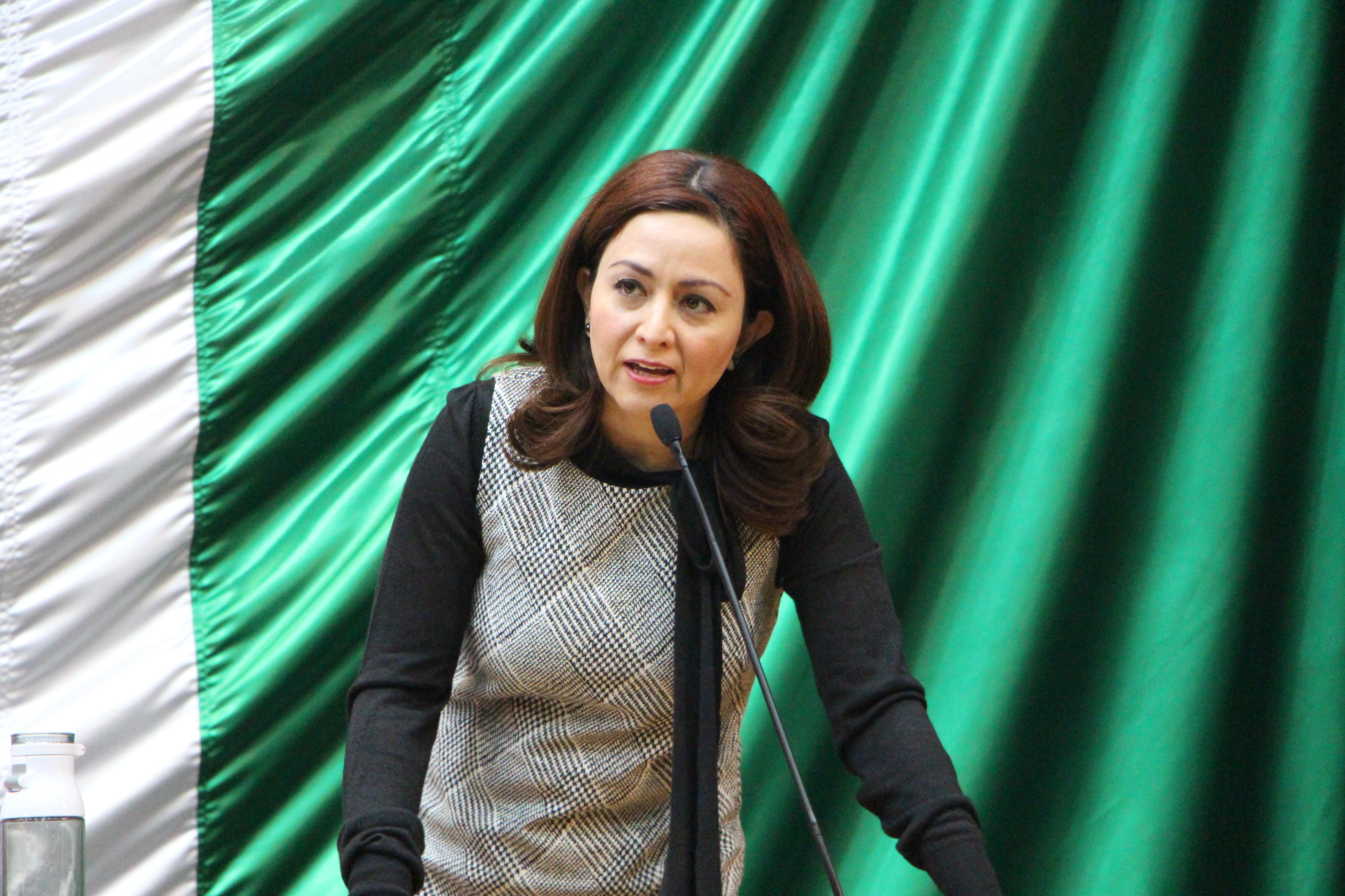 Suscripción Dip. Mariela Saldivar a Iniciativa en pro de la movilidad universal