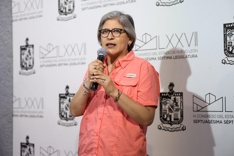 Avanza Protección A La Niñez Con Medidas Contra Deudores Alimentarios: Sandra Pámanes