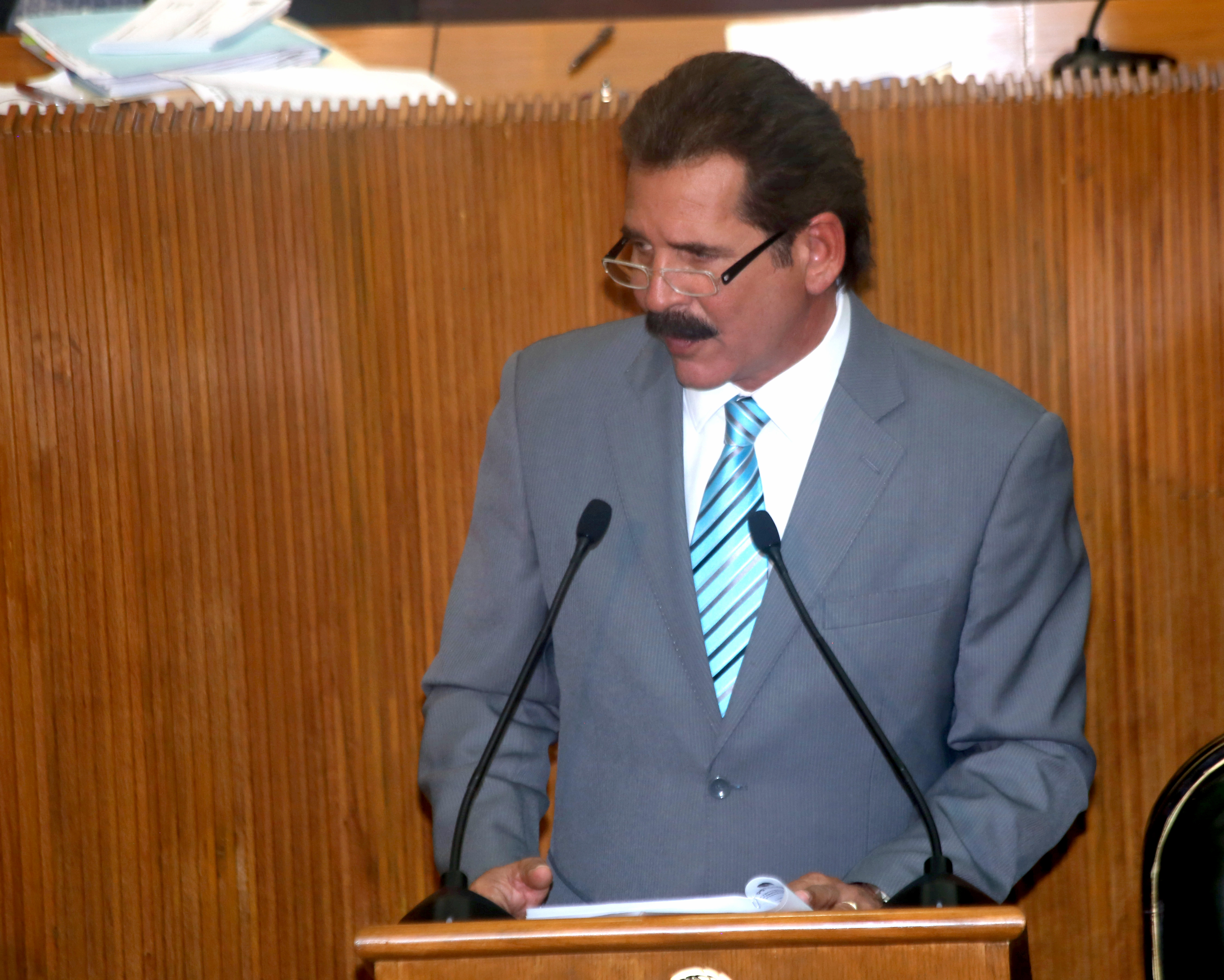 FALTA FIRMEZA A MARGARITA ARELLANES