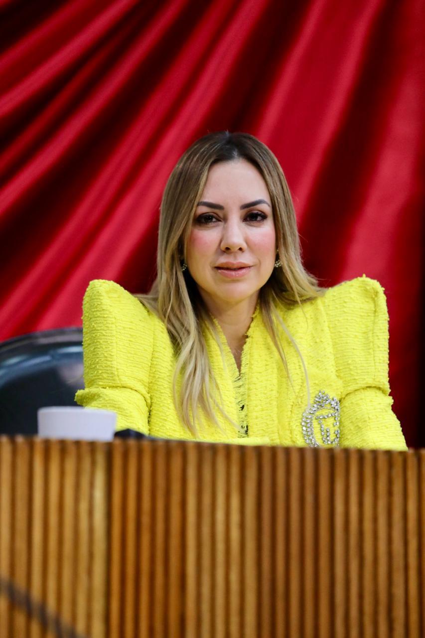 PIDE PERLA VILLARREAL CAMPAÑAS PREVENTIVAS PARA EVITAR MÁS TRAGEDIAS POR CALENTADORES DE GAS