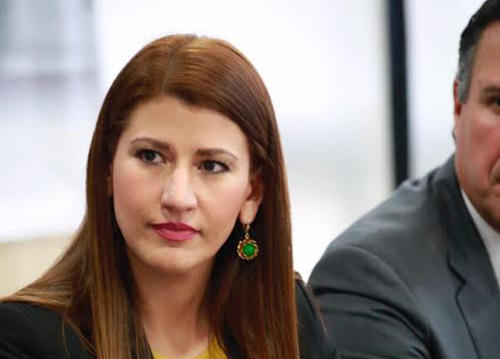 REALIZA ROSALVA LLANES MESA DE TRABAJO PARA ELABORACIÓN DE PLAN INTEGRAL DE ATENCIÓN A REPATRIADOS DE NL