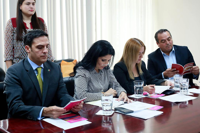 LAS 21 COMISIONES ESTARÁN INSTALADAS Y TRABAJANDO LA PRÓXIMA SEMANA