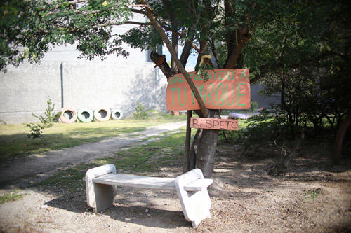 REGENERARÁN PARQUE DEL CONGRESO