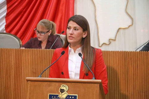 SOLICITAN AL ESTADO INFORME DE NUEVAS PLAZAS Y MONTO TOTAL EN LIQUIDACIONES