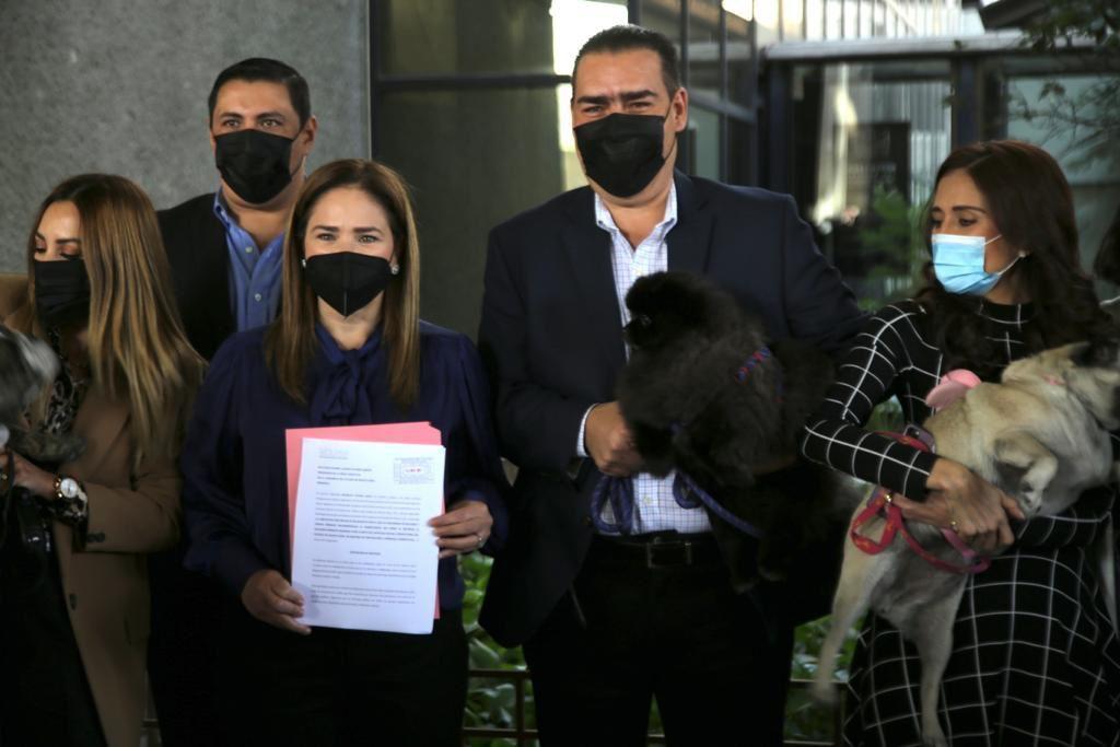 PROPONE HERIBERTO TREVIÑO CASTIGAR MALTRATO ANIMAL CON MAYOR RIGOR