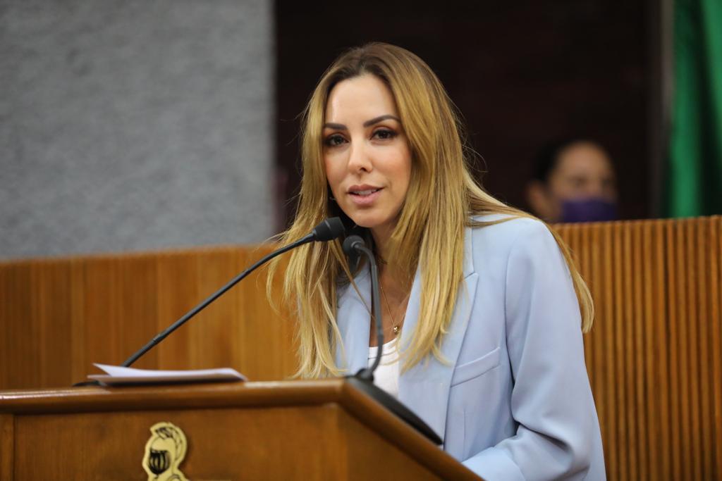 URGE PRI DAR MANTENIMIENTO A LAS CÁMARAS DE VIDEOVIGILANCIA