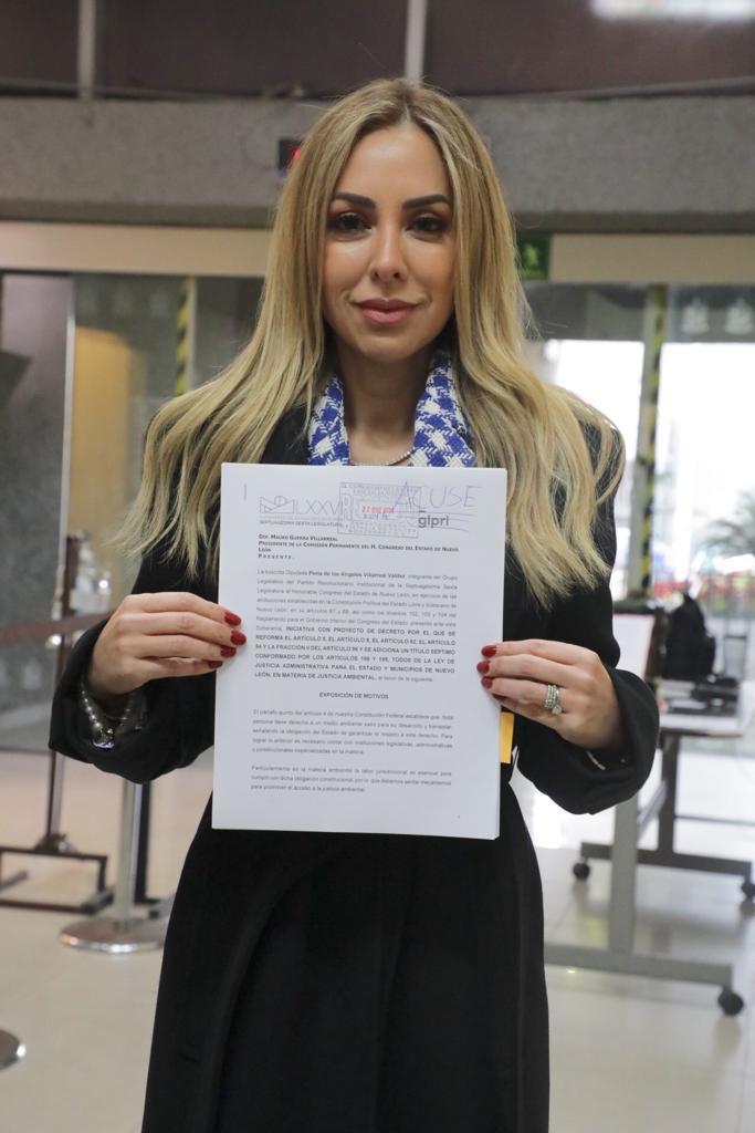 PROPONE PERLA VILLARREAL CREAR SALA ESPECIALIZADA EN MATERIA AMBIENTAL EN EL TJA