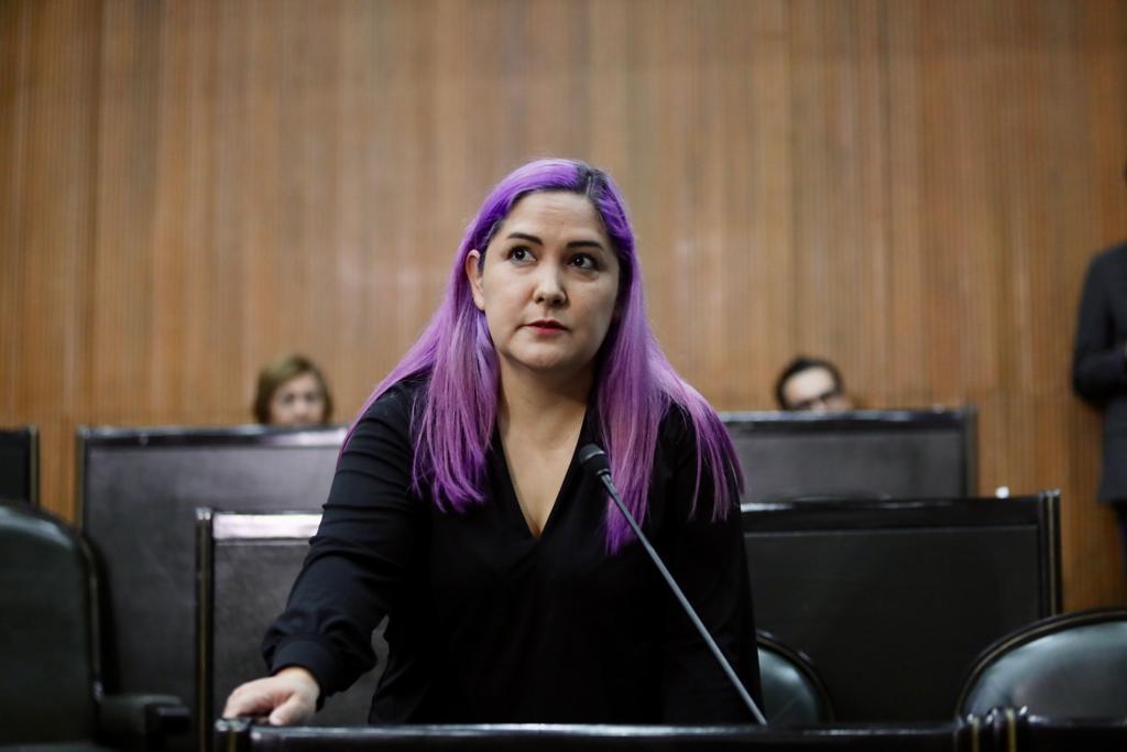 BUSCA JESSICA MARTÍNEZ QUE ACCESO AL CONGRESO SEA UNIVERSAL Y SIN DISCRIMINACIÓN