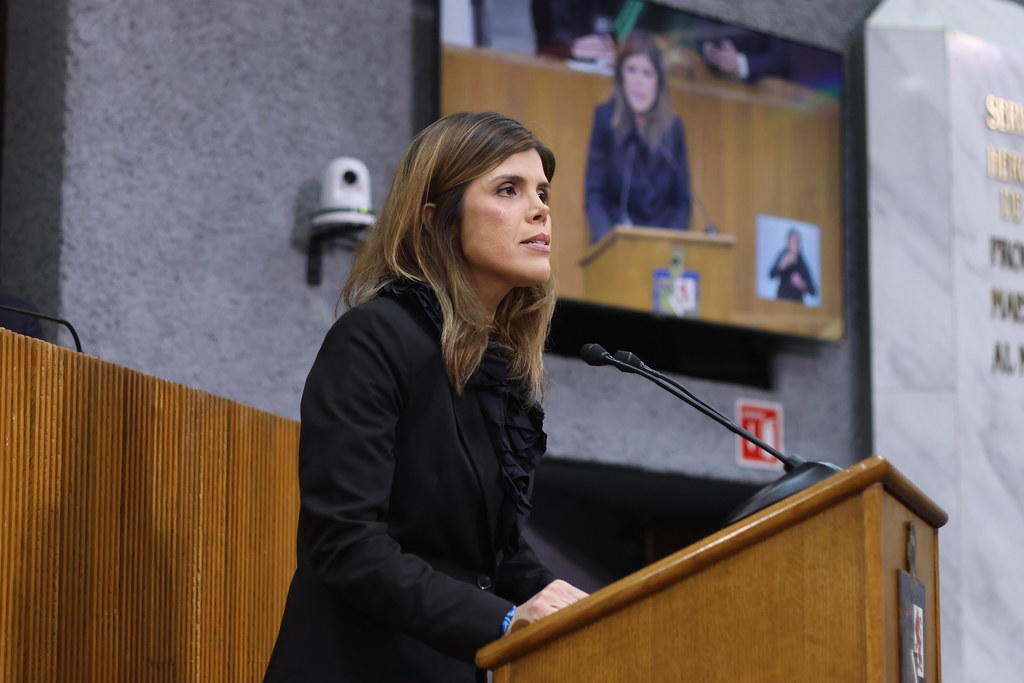 PROFECO ES EXHORTADO A REVISAR PRECIOS DE SERVICIOS EN HOSPITALES