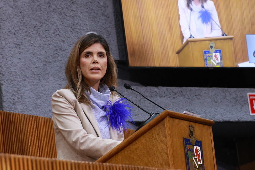 APRUEBAN CONTROL PARENTAL EN REDES SOCIALES PARA MENORES