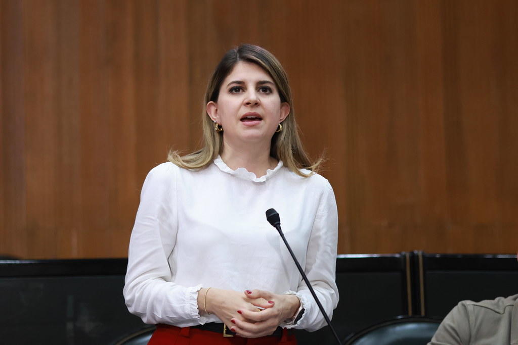 PIDEN CONTINUAR CON LAS LABORES DEL CENTRO DE ATENCIÓN MI GRAN ABUELO