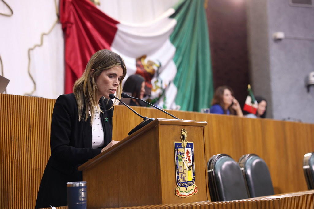 MODIFICAN LEY DE FOMENTO A LA SOCIEDAD CIVIL