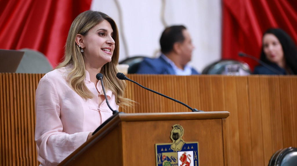 PROPONE MELISA PEÑA REFORZAR SEGURIDAD VIAL EN LOS 51 MUNICIPIOS