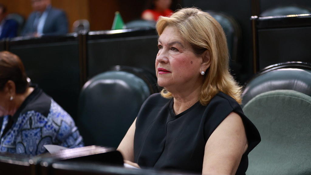DEMANDA PRI REVISIÓN PERMANENTE DE RIESGOS EN ESCUELAS