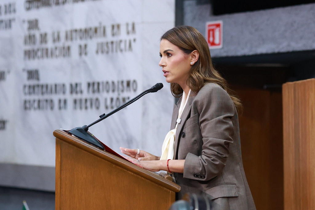 PLANTEA LORENA DE LA GARZA AUDITAR OPERACIÓN DE SIMEPRODE